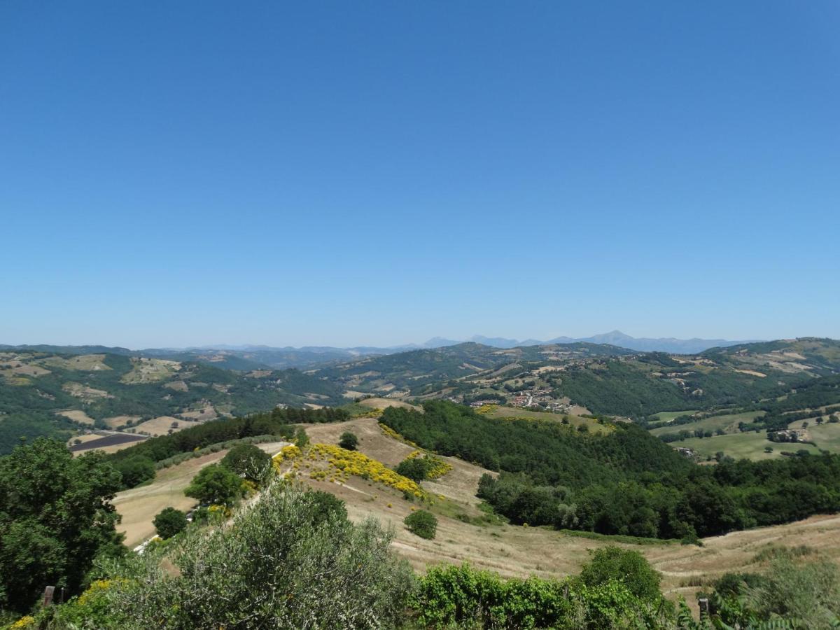 Agriturismo La Terrazza 발파브리카 외부 사진