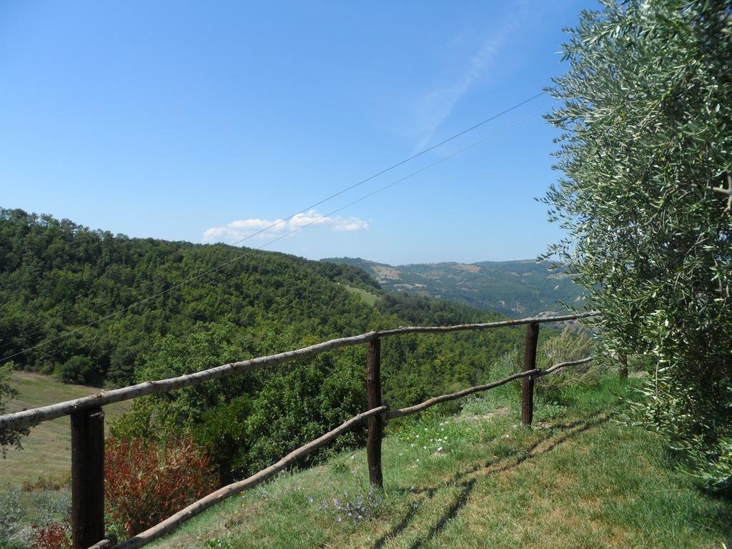 Agriturismo La Terrazza 발파브리카 외부 사진